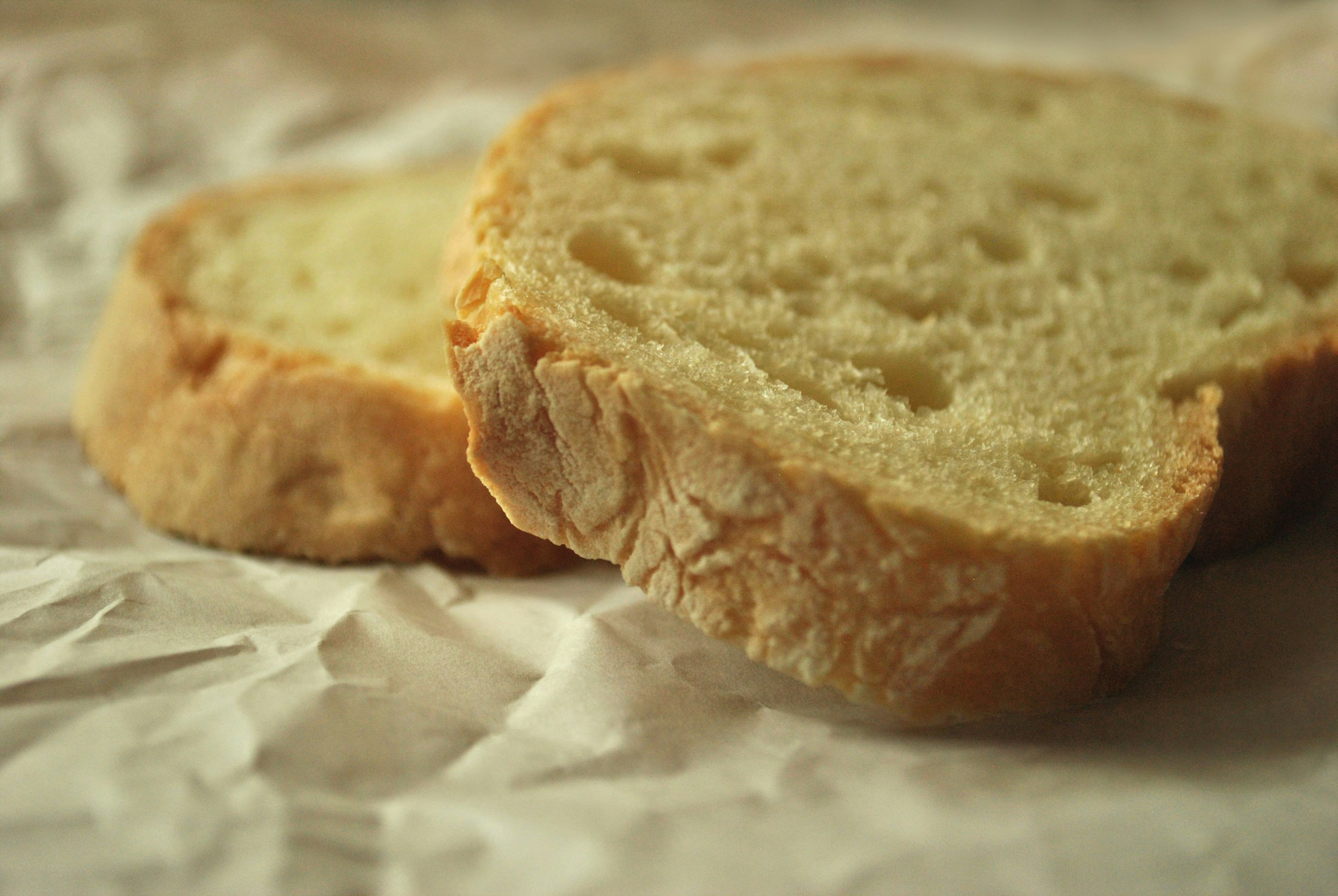 Moldy Bread