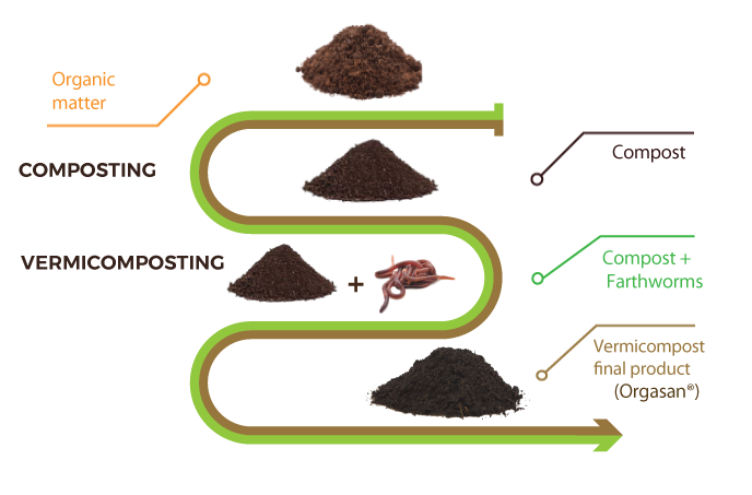 Worm Bin Vermicomposting